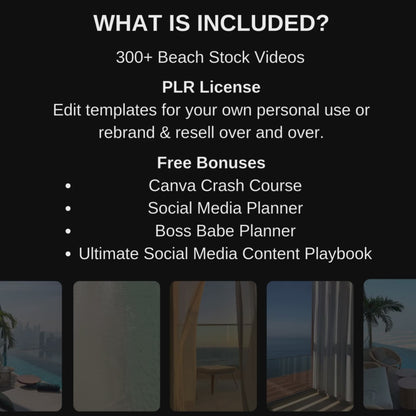 Beach Stock Video Library